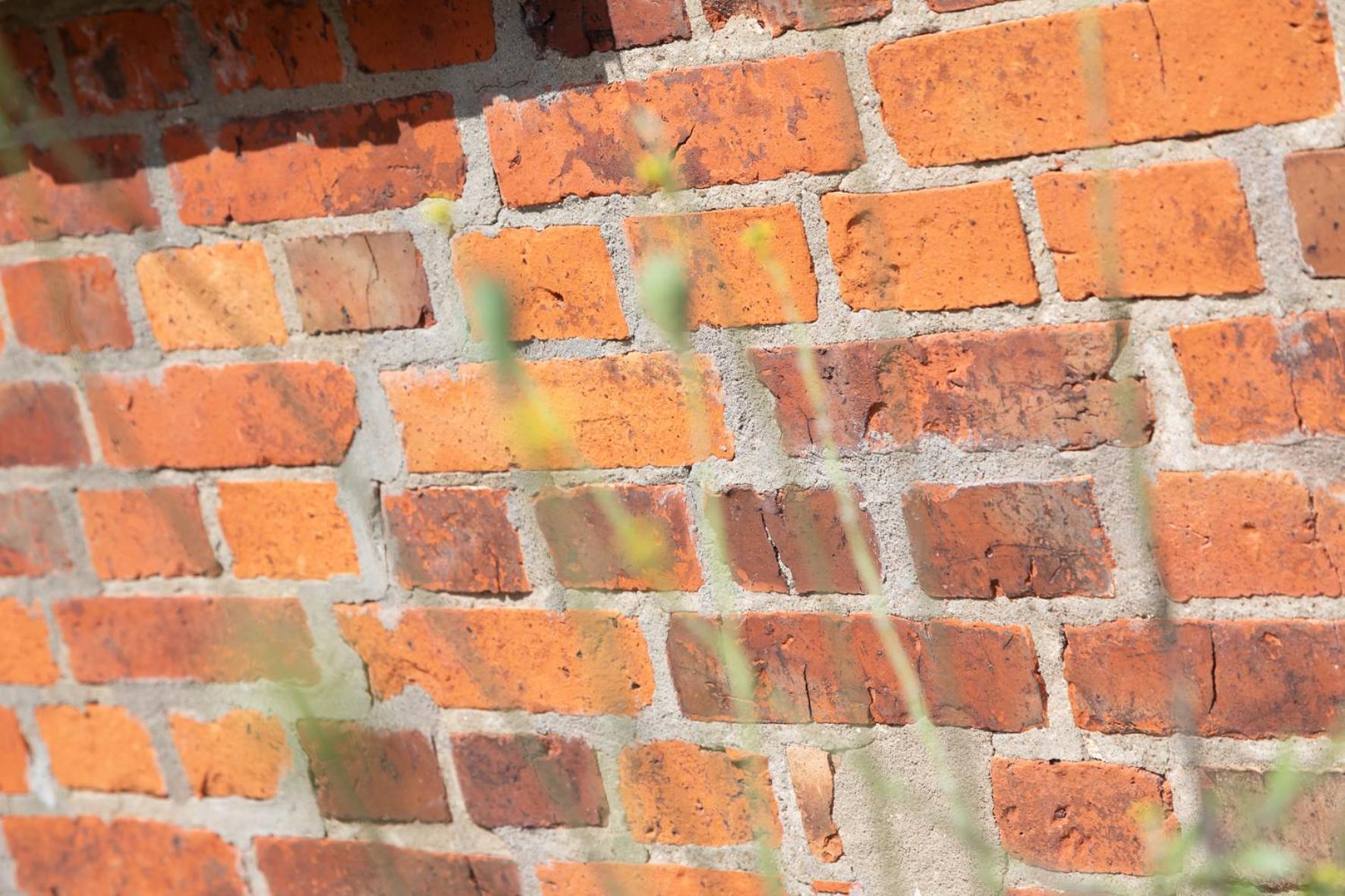 Wohnen Am Suedstrand - Ferienwohnung 0 3 Wyk auf Foehr Exterior photo